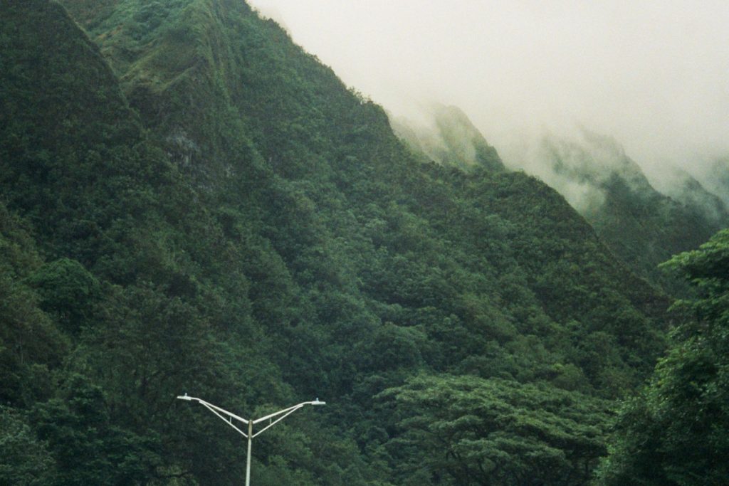 low carbon